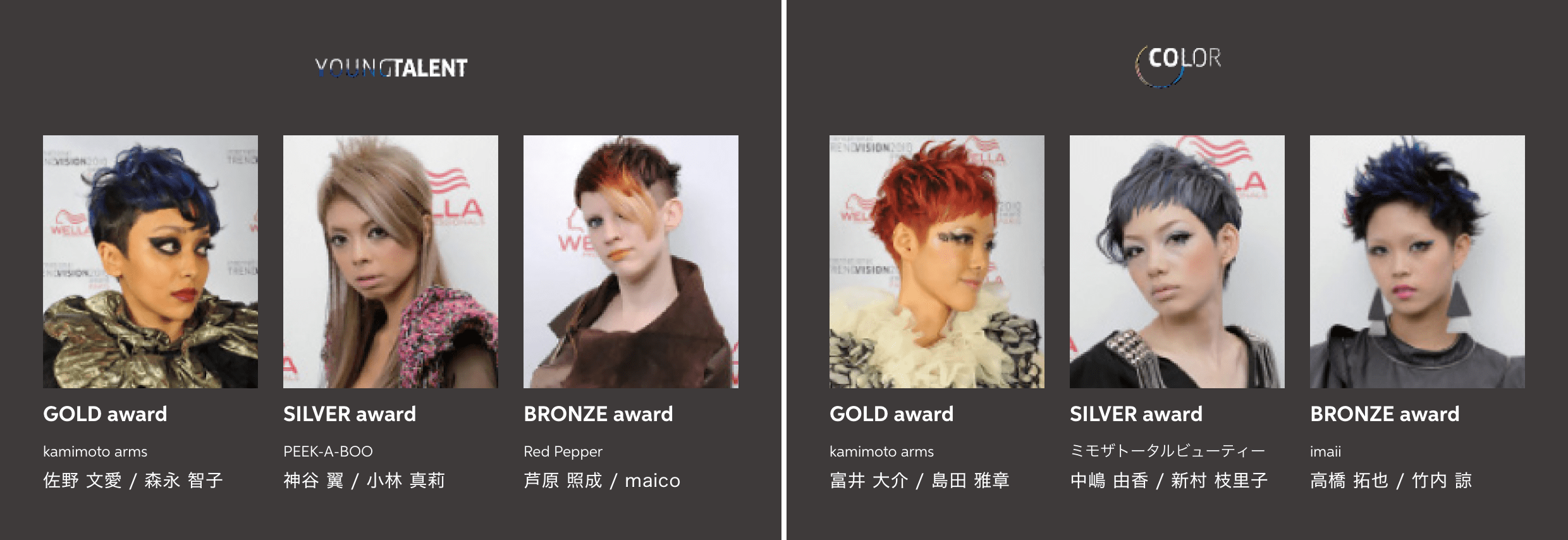 2010 Paris JAPAN FINAL STAGE